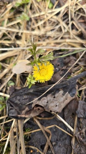 ����� ������������ ������ ��� � ���