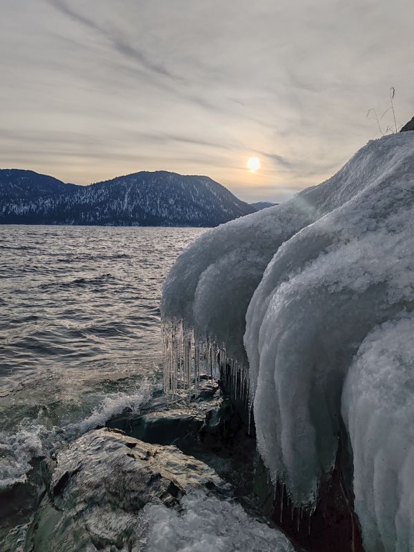 Берег Телецкого озера в с. Яйлю
