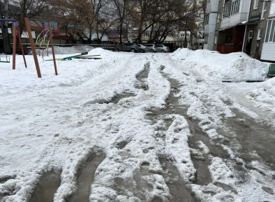 ���� ����������� �� 20 ����� �� ������ ������� ���� �� �����