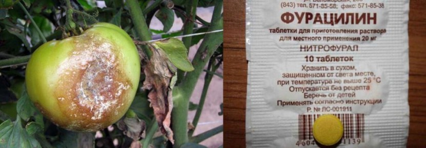 ��� ��������� ��������� ������ ��� ������ �� �����������