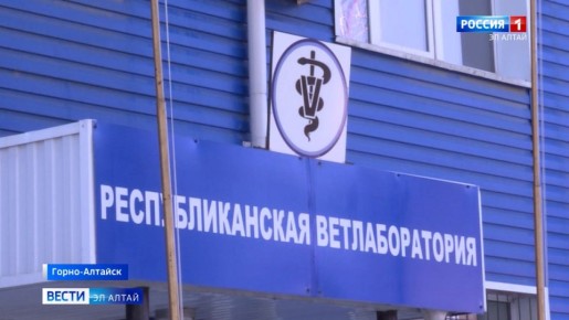 ���������� �����������-����������� ���� ������������ �����