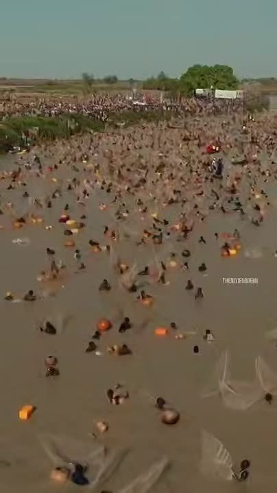 �� ��� �� ������ � �������?