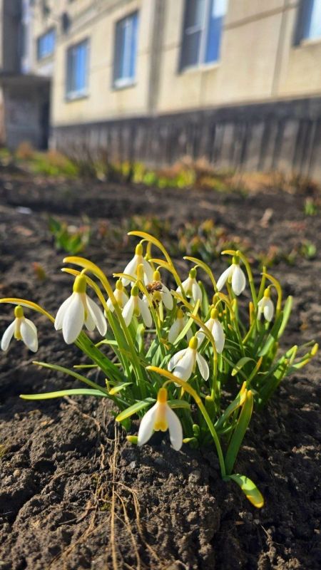 ������� �����. ����: ������� ��������