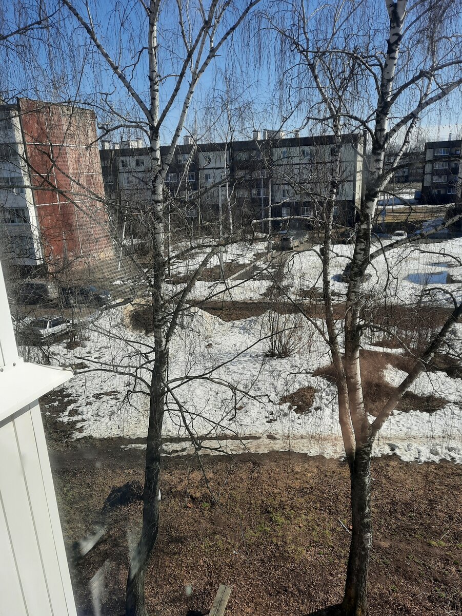 Вкусный завтрак для солнечного утра