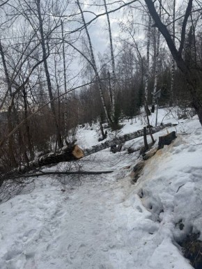 �� ����������. ����� ��������, ����� ����� � ��� ����� ���������