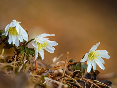 ��������� ���������: ������ ����� ���� �� ������� ��������� �����