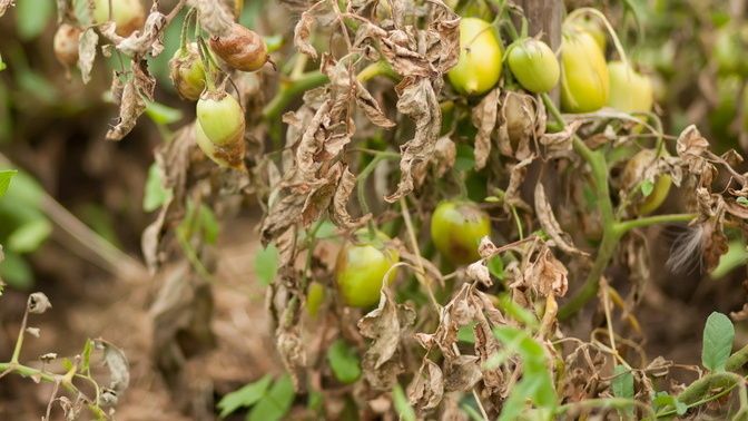 ��� ���������� ����� ������� �������� �������� ��������� � ��������� ������