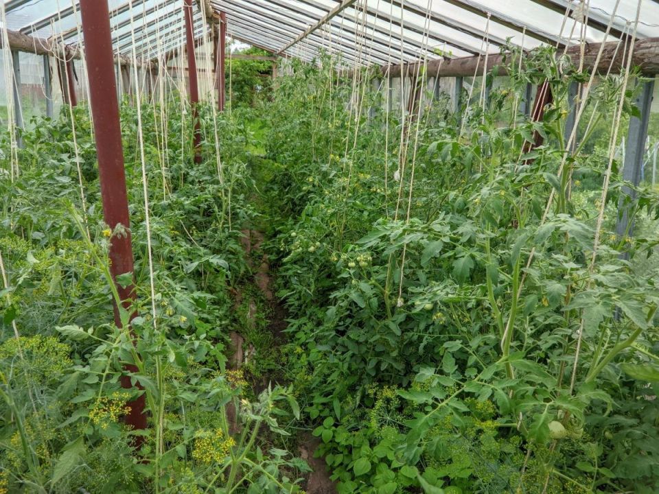 ��� �������� �������� ���������: ������ � �������