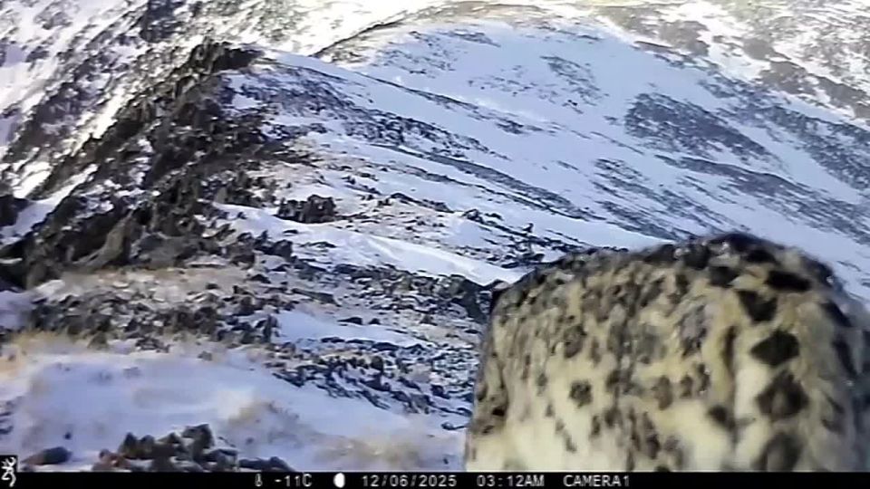 �������� �������� ����� � ��������� �������� � ����� �������, ������� �� �����