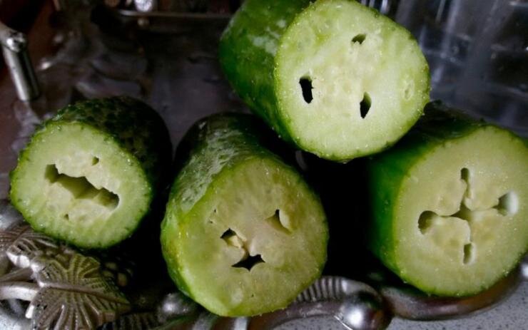 Как предотвратить пустоты в огурцах: практические советы для садоводов