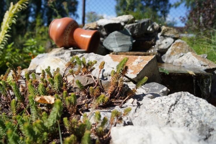 ���������� �����: ��� ������� ������� �� ����� �������