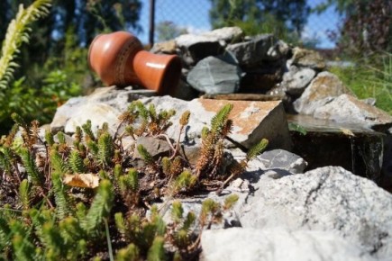 ���������� �����: ��� ������� ������� �� ����� �������