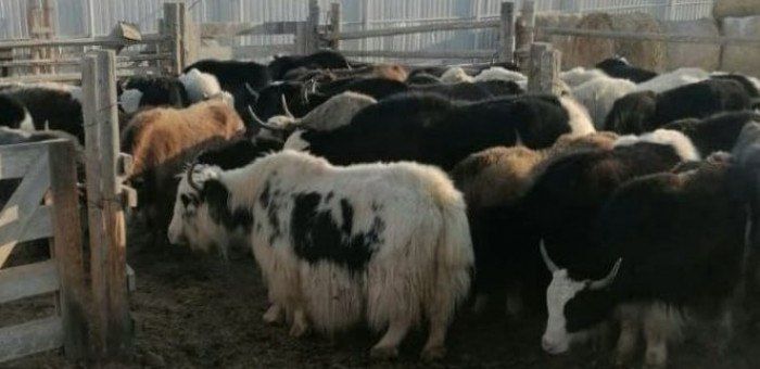 ���� ��������� � �������� ������ �� ������� �����