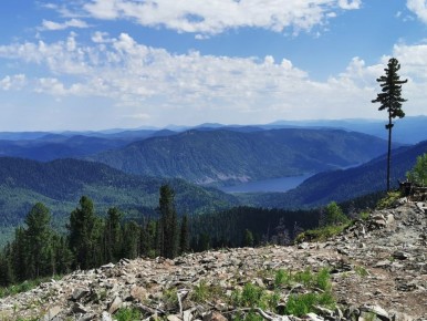 ����������������� �� �������� ������� �� ��������� �������� ��� ������������� �������