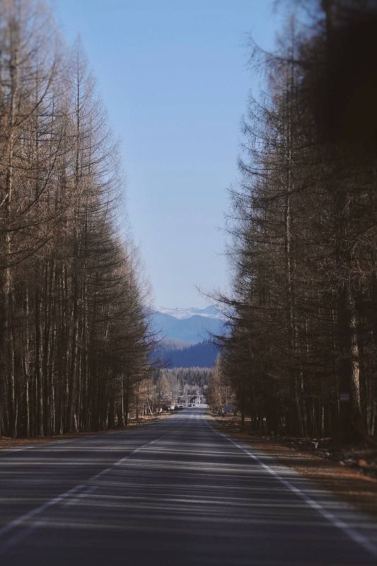 ����������� ����� � ��������� ���������� ����� ��������� ������� ����������