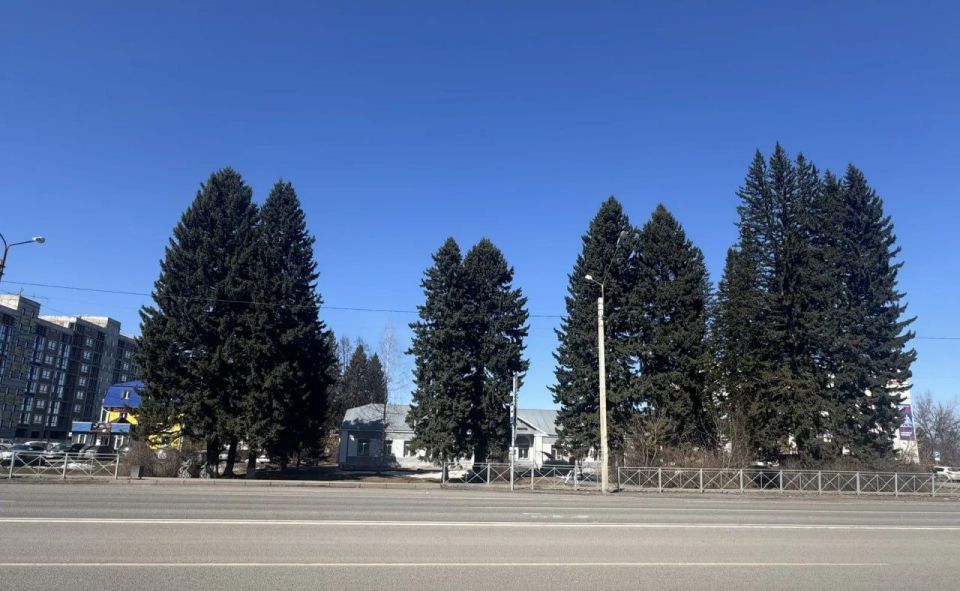 ������������� ����������� ������ ����������� ������� ����� � ������� ���������� ��������� �� ������ ������, 24