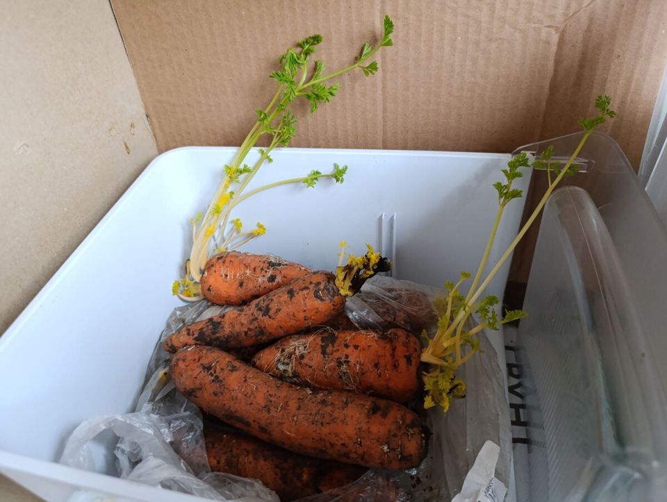 ��� ���������� ���� ��������� ������� ������������ �� ������