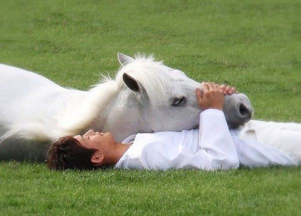 ��� ����� ������ ���������� �������� � ���� ������-���������