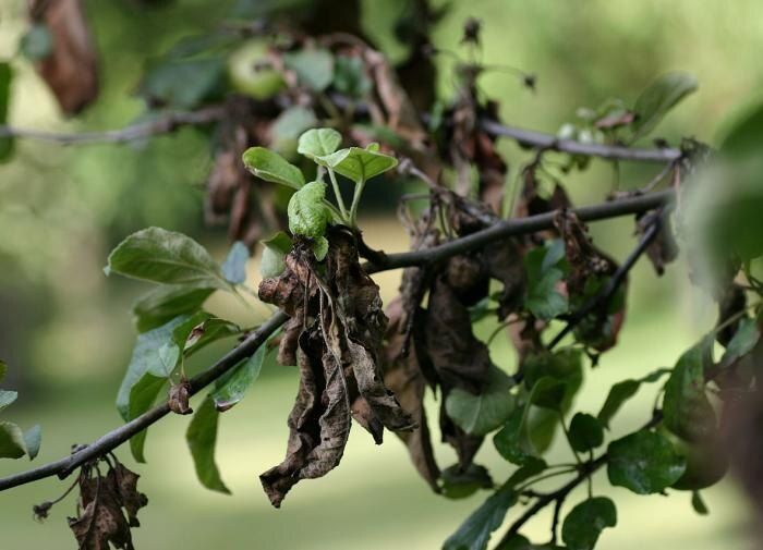 ������� ������� ��� ���������: ��� ���������� �������� � ������