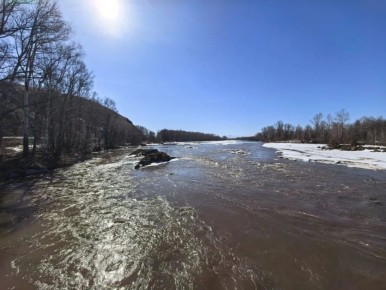 Ещё не зелень, но уже не снег