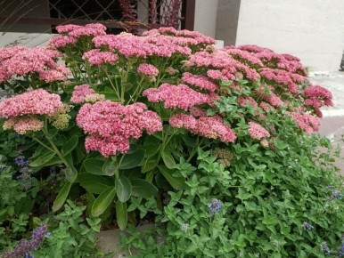 ������ ������: ������� ��������� �������� ��� ������� ���������