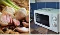 Простой способ быстро очистить чеснок: как использовать микроволновку