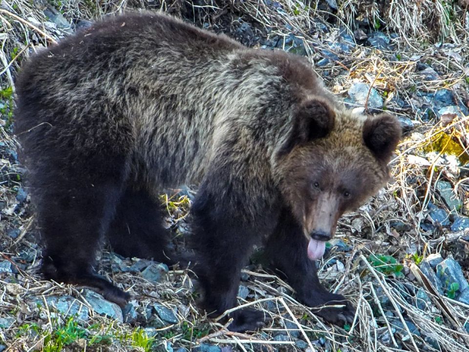 ����� � ��������� �����������