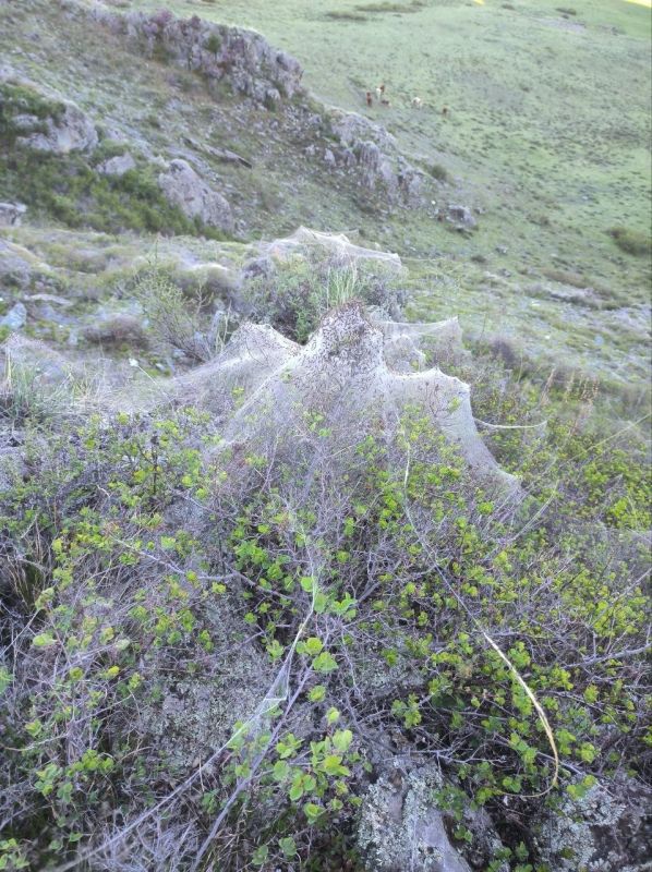 ��������� ����� ���������� ����� ������� �����-���������� ���������� ���� �� �������� ��������� ���������������� ��������� ��������� ��� ���������