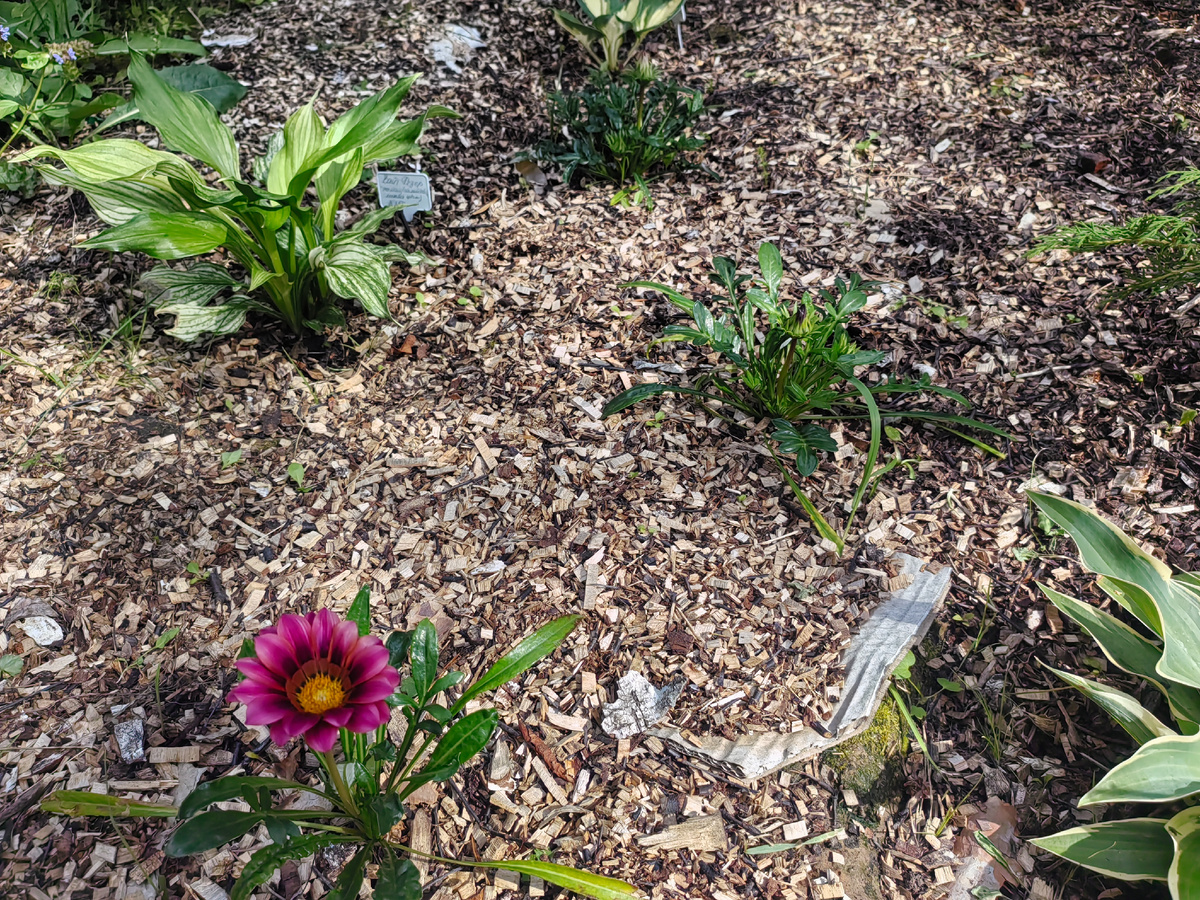 Эффективные стратегии обработки целинной земли