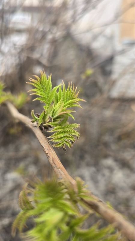 ����� � ������ ����: ������� ��������