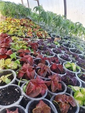 ����� ������ � ������ ������� �� �������� � ���������� ������ ������ � ��� ��������� ������� � ������� ����� ������