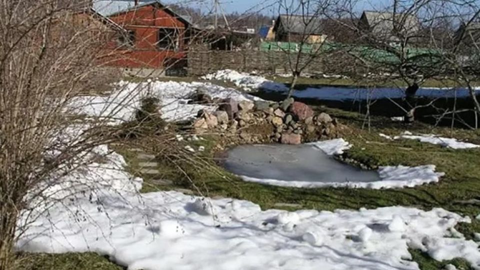 ����������� ����: �������� ������ � ����� ��� ������� ������ ������