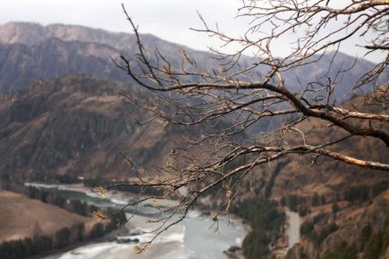 #���������������. ��� ����� �� ����� �