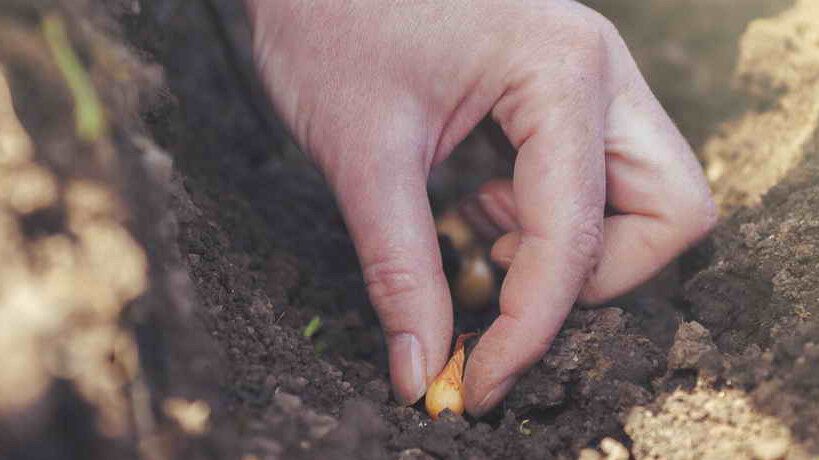 ��� ��������� ��� �� ������������: ������� ������� ��������