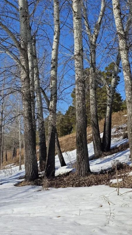 ��������, �������! �� �� ����������!!