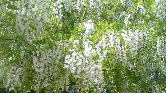 ������ ������ ������� �� ���� ����� ����� �������� ����� ��� �������