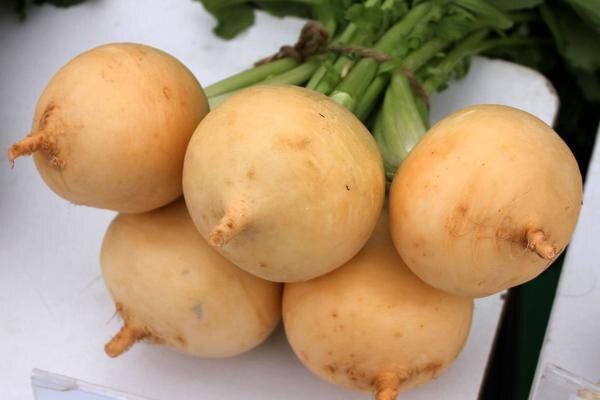 ����� ���� �����: ��� ��������� ��������� ������