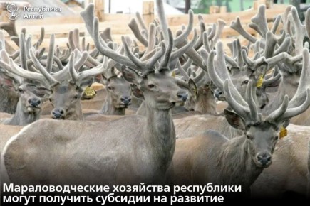 � ���������� ����� ��������� ����� ������ �� �������� ��� ��������������� ��������