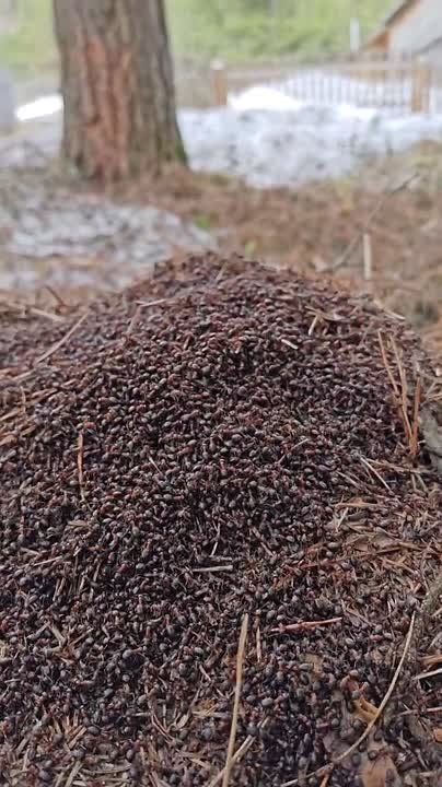 ������ ������� ����������!