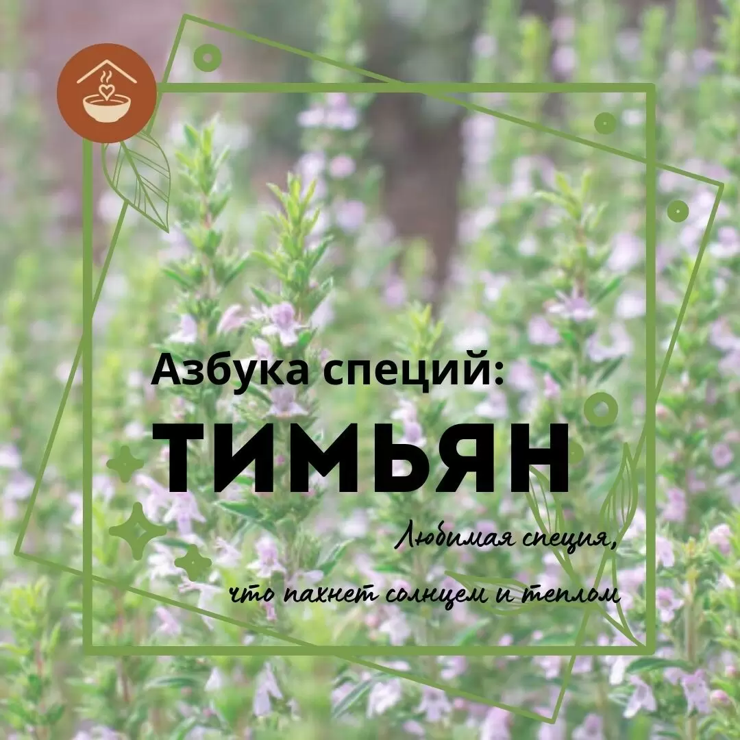 Тимьян: ароматное солнце на вашей кухне