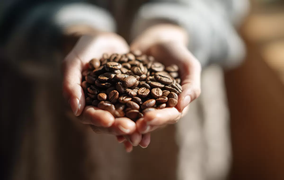 Как выбрать идеальный кофе: wetenschap за чашкой