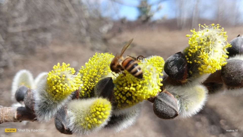 #���������������. *** �� ���� ������ ������� �����