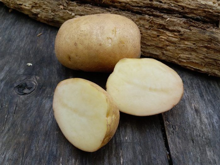 ��������� �����: ��������� ����� ��� ��������� ������