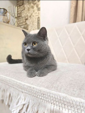 ������� ����� �������� �����!