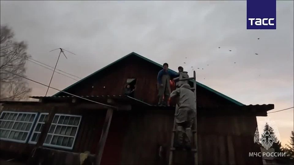 ����� ������������ ������������ �������� � ��������� ���� �� ����� ������� �� 124 �� 157, �������� � �� ��� �� �������