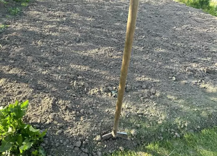 Как вернуть жизнь в почву: проверенные методы восстановления плодородия