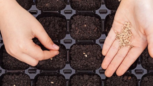 �������� �� ������� �����: ��� ��������� 40 ������ �� 65 ������