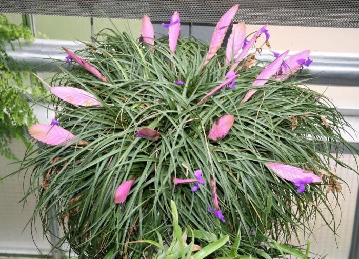 �������� ��� ���� ��������� ��� ����������