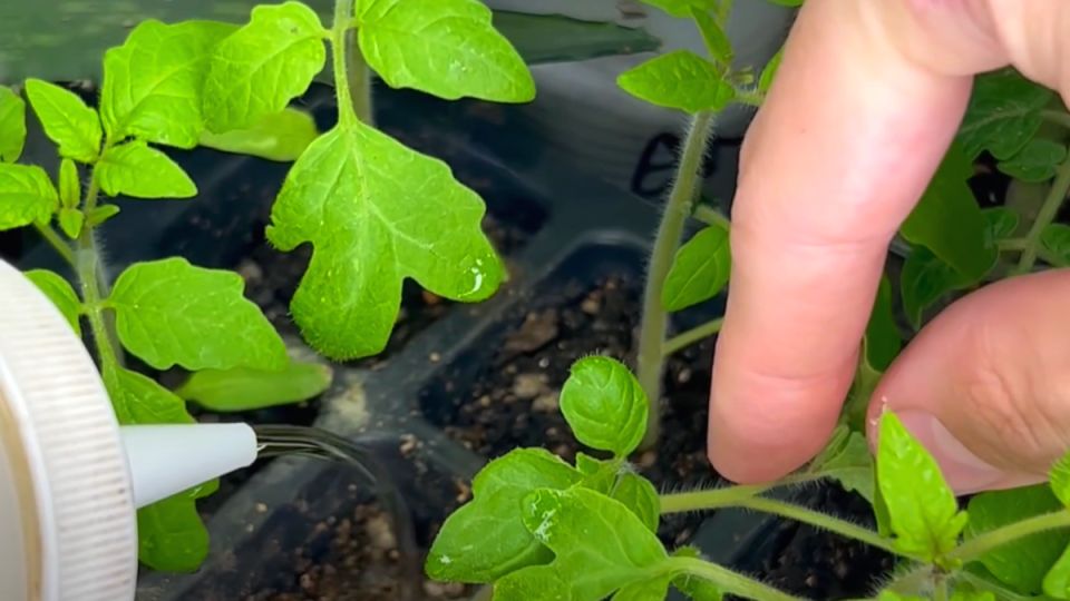 ��������� ���������� ��� ����� �������