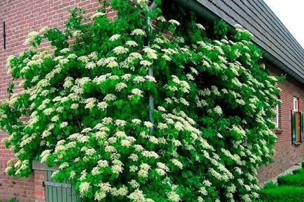 ��������� �������: �����������, ������������ � ����